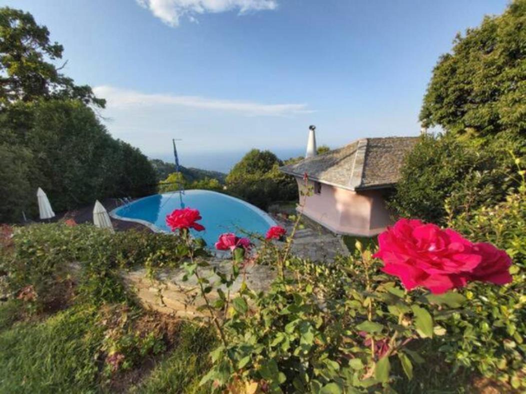 Tsagkarada Country Estate With Pool Villa Bagian luar foto