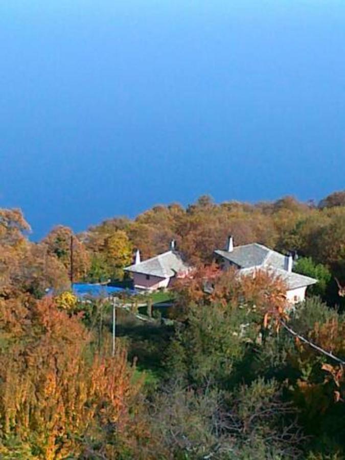 Tsagkarada Country Estate With Pool Villa Bagian luar foto
